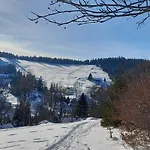Na Kraji Lesa