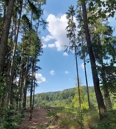 Na Kraji Lesa * Janov nad Nisou