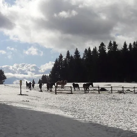 Na Kraji Lesa * Janov nad Nisou