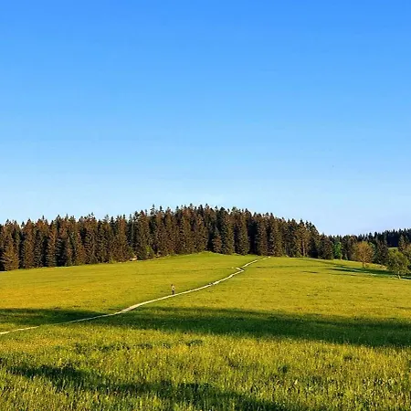 Na Kraji Lesa Daire Janov nad Nisou
